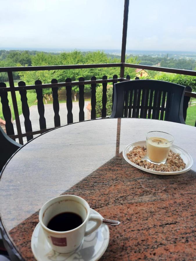 Guest House Blazevic Gornja Gracenica Ngoại thất bức ảnh