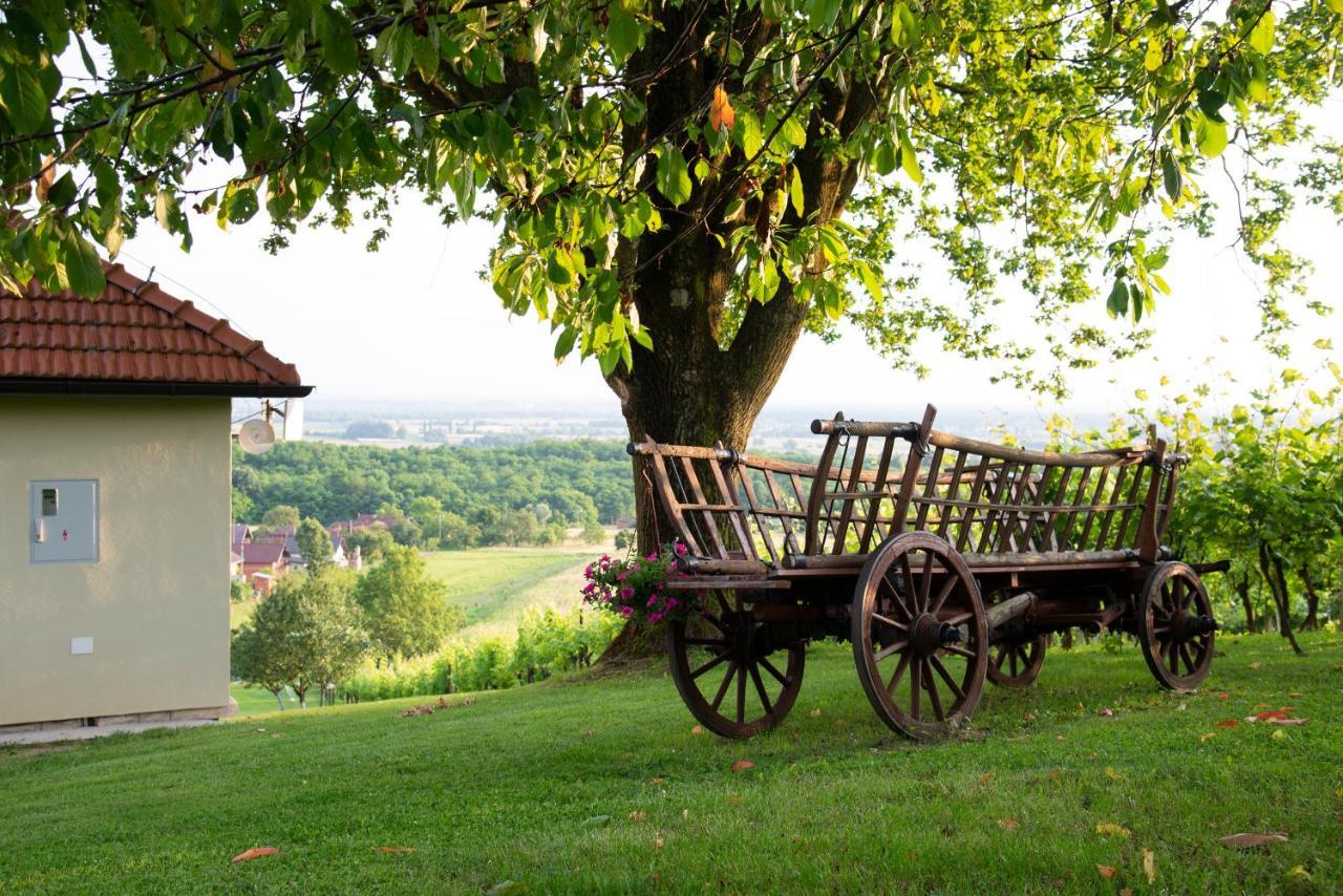Guest House Blazevic Gornja Gracenica Ngoại thất bức ảnh