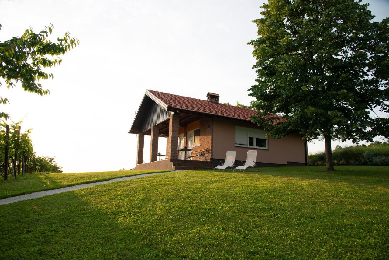 Guest House Blazevic Gornja Gracenica Ngoại thất bức ảnh
