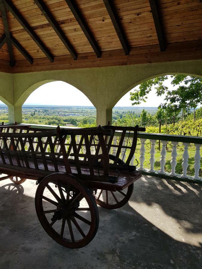 Guest House Blazevic Gornja Gracenica Ngoại thất bức ảnh