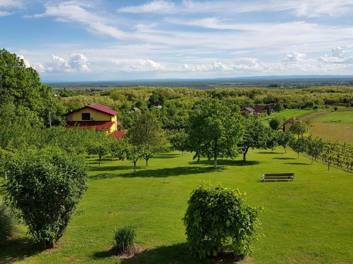 Guest House Blazevic Gornja Gracenica Ngoại thất bức ảnh